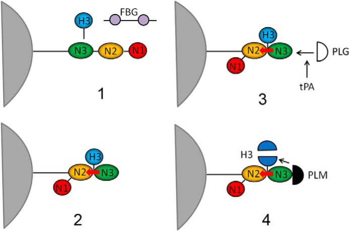 Figure 13.