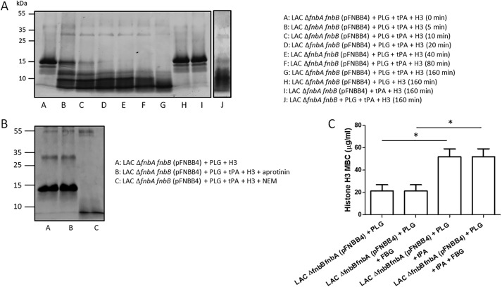 Figure 12.