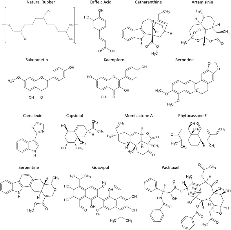 Figure 1.