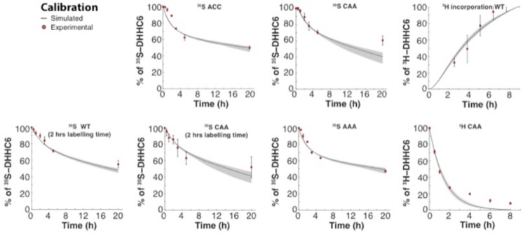 Figure 5—figure supplement 1.