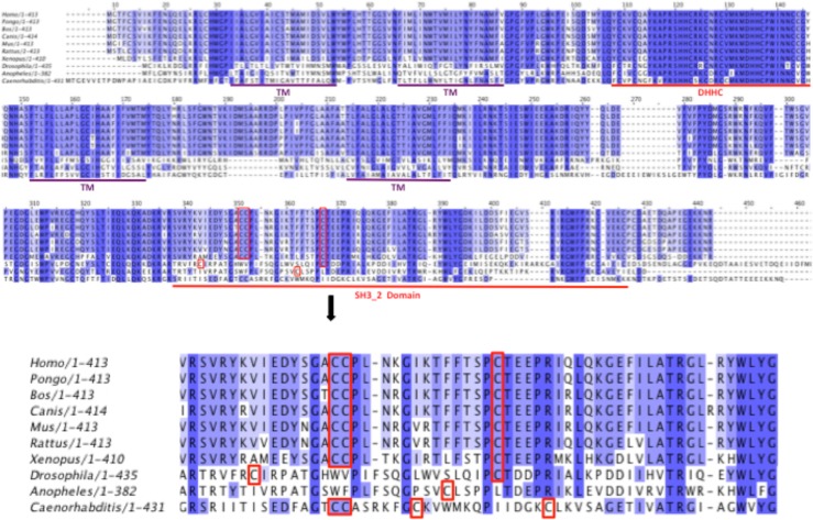 Figure 1—figure supplement 1.