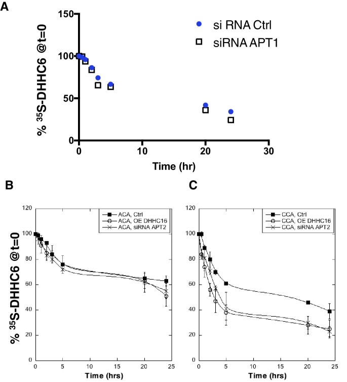 Figure 3—figure supplement 1.