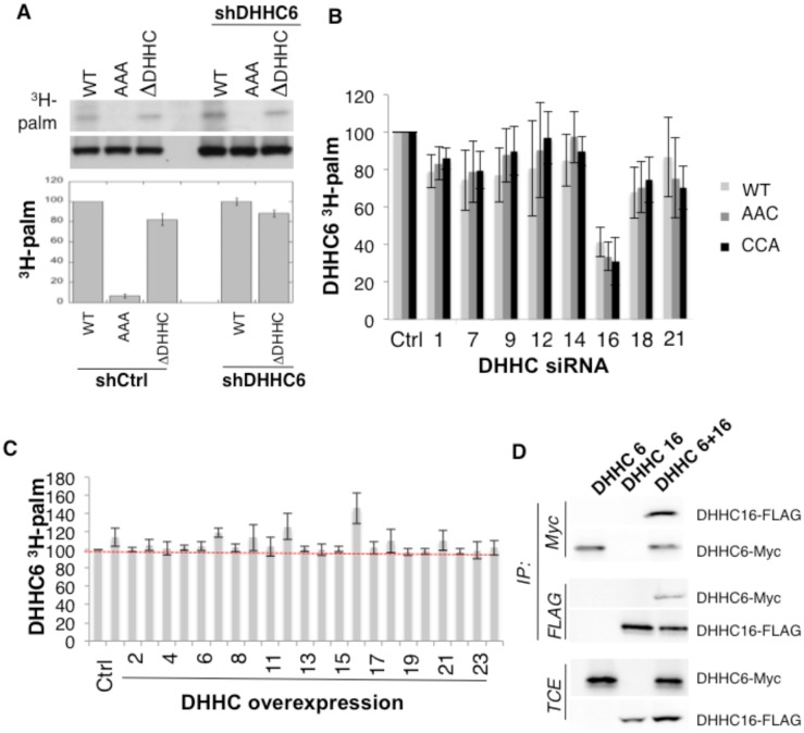 Figure 2—figure supplement 1.