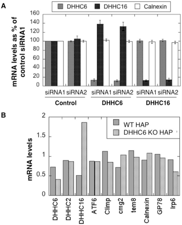 Figure 2—figure supplement 3.