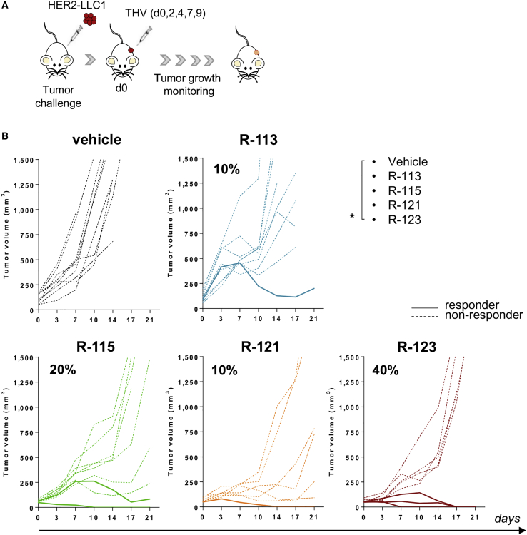 Figure 2