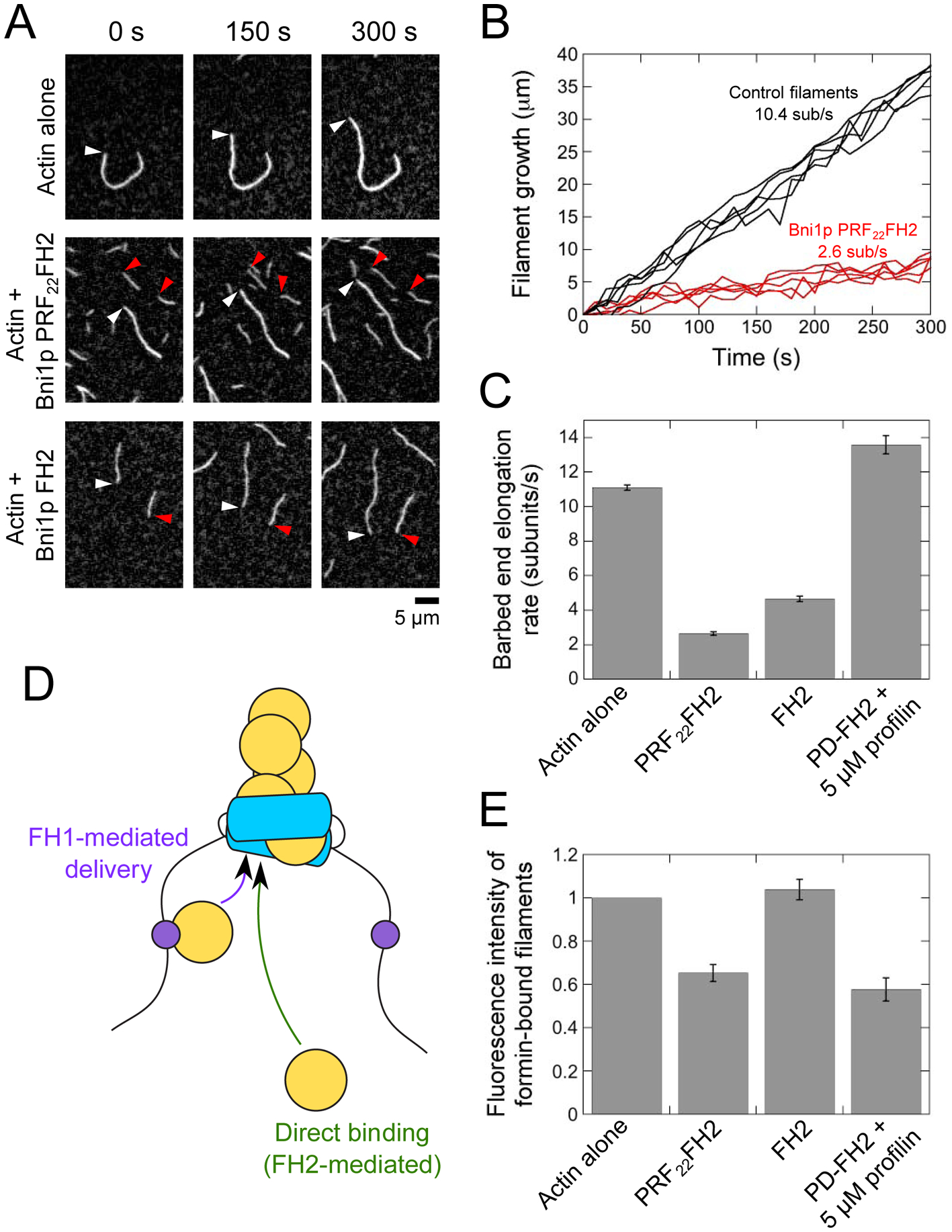 Figure 2.