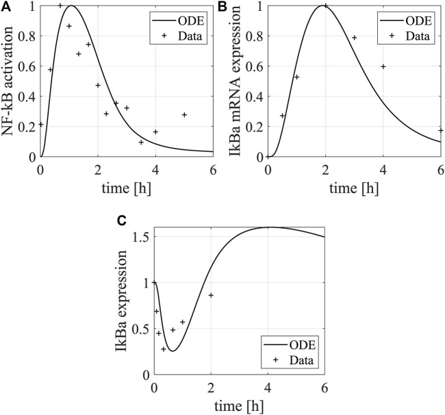 FIGURE 3