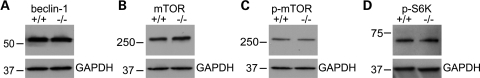 Figure 2.