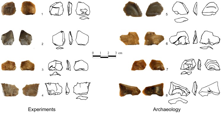 Figure 12