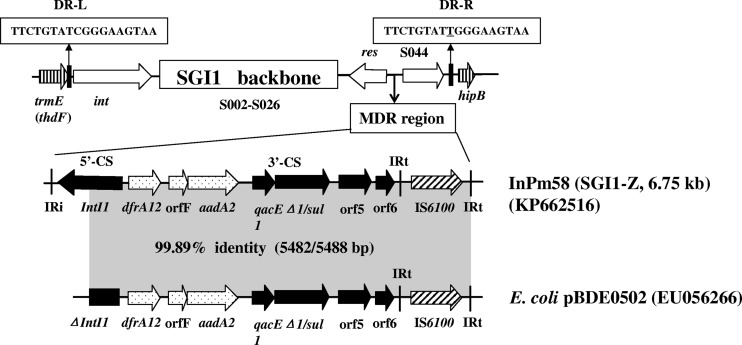 FIG 2