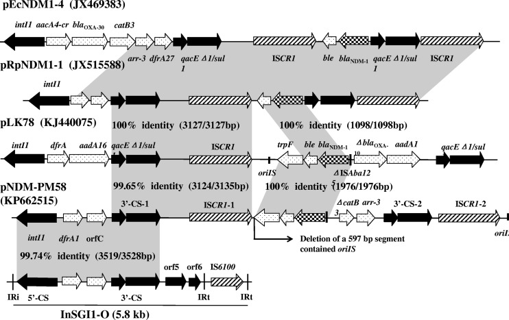 FIG 1