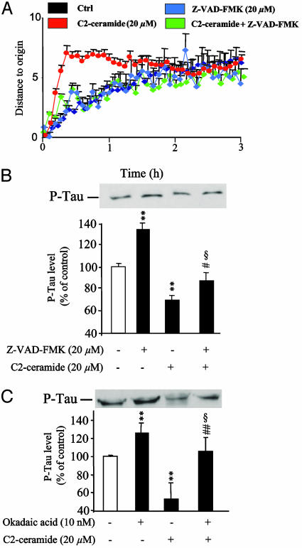 Fig. 9.