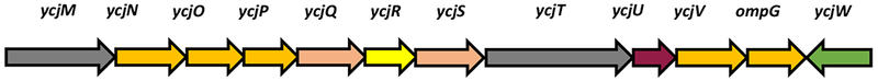 Figure 1: