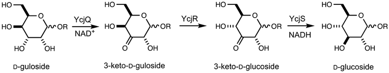 Scheme 4.