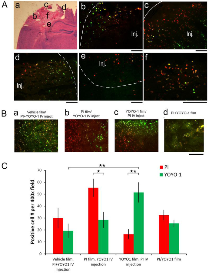 Figure 6.