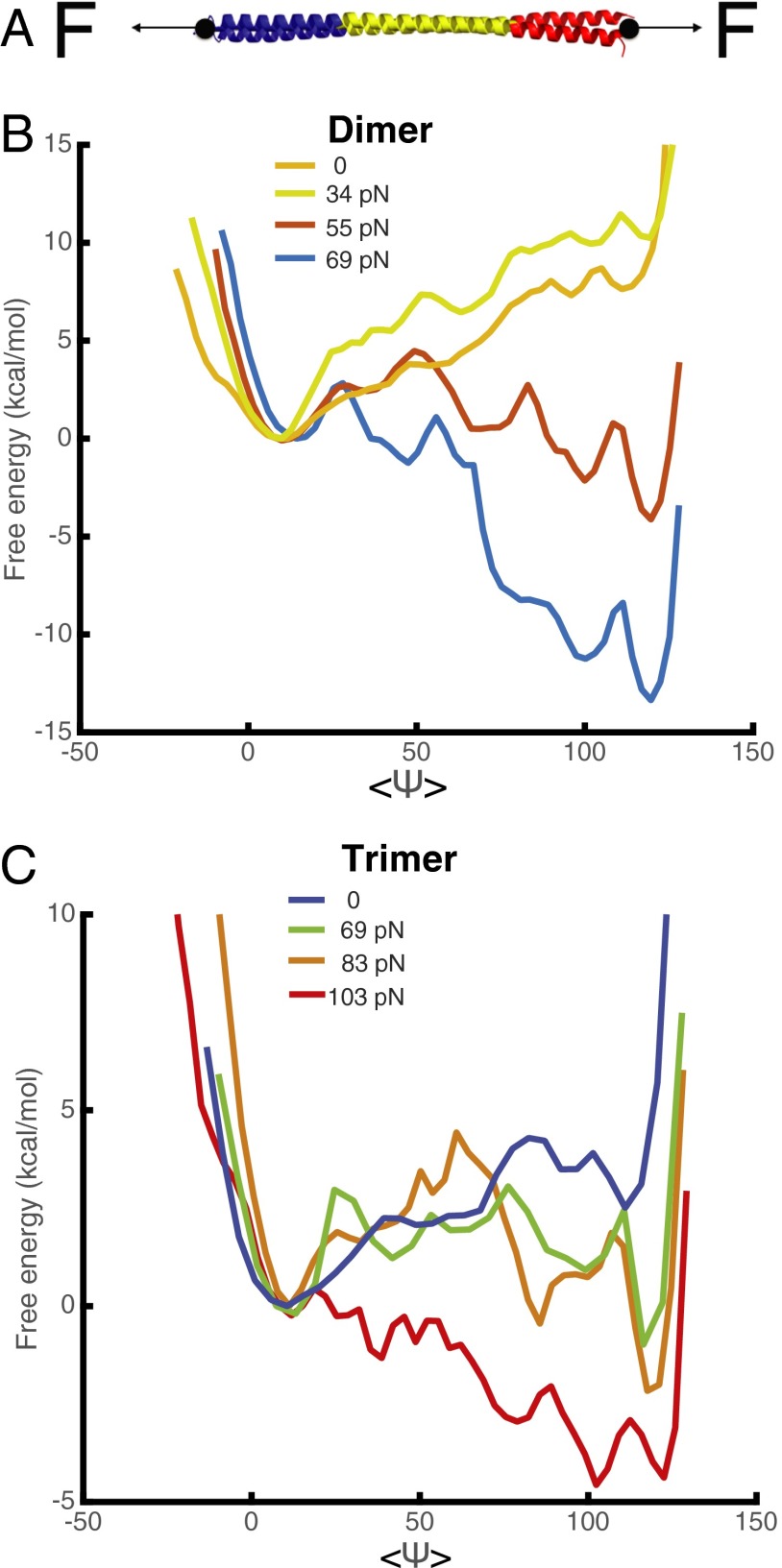 Fig. 4.