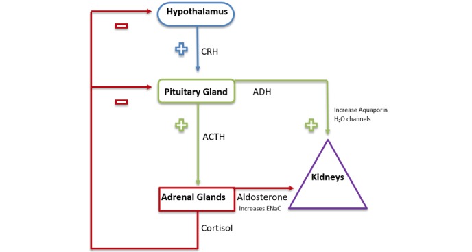 Figure 2: