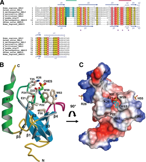 FIGURE 1.