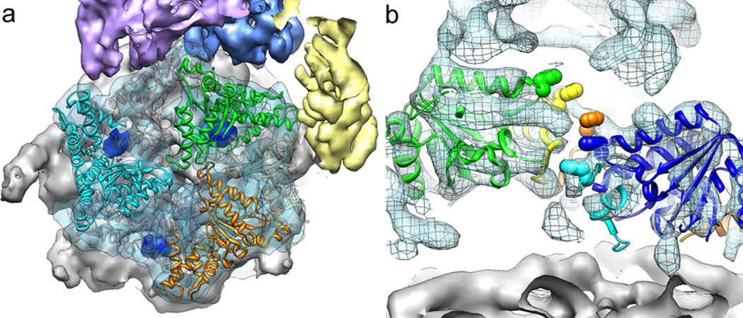 Figure 5