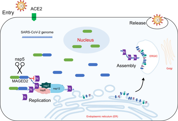 Fig 6