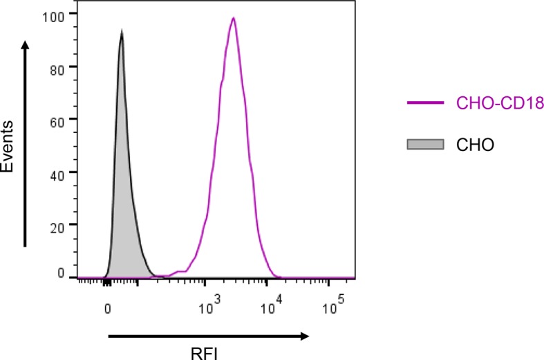 Figure 1—figure supplement 1.