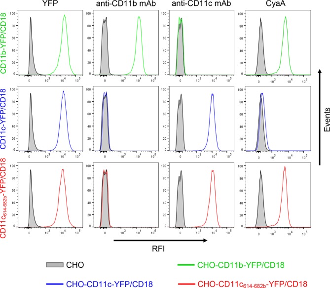 Figure 3—figure supplement 1.