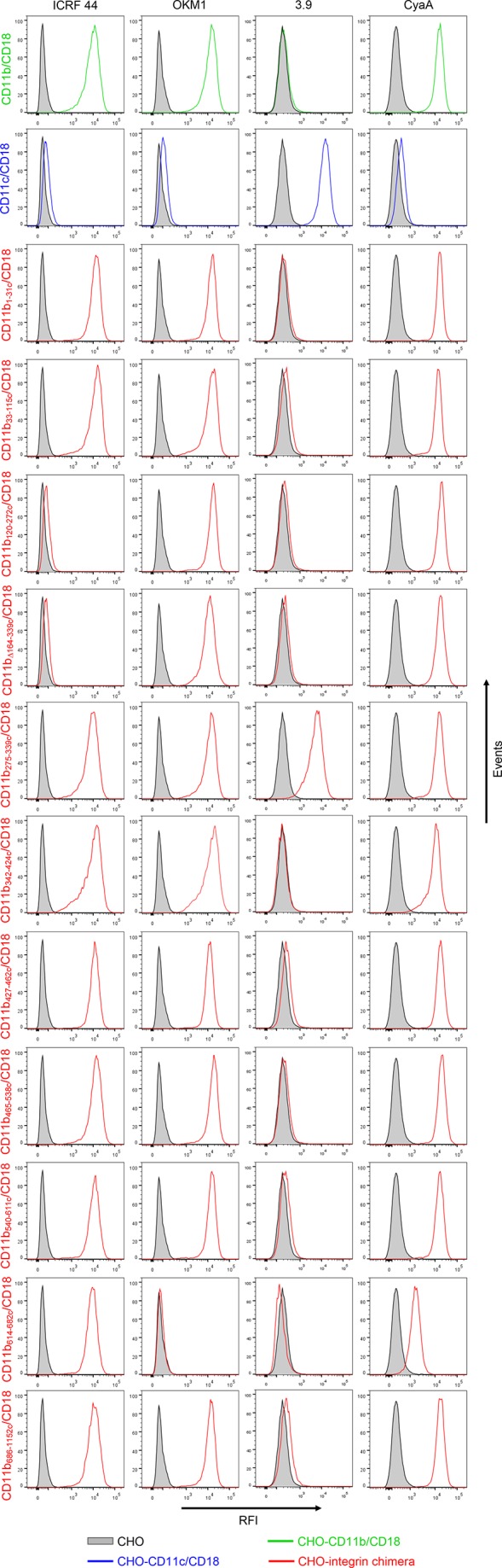 Figure 1—figure supplement 2.