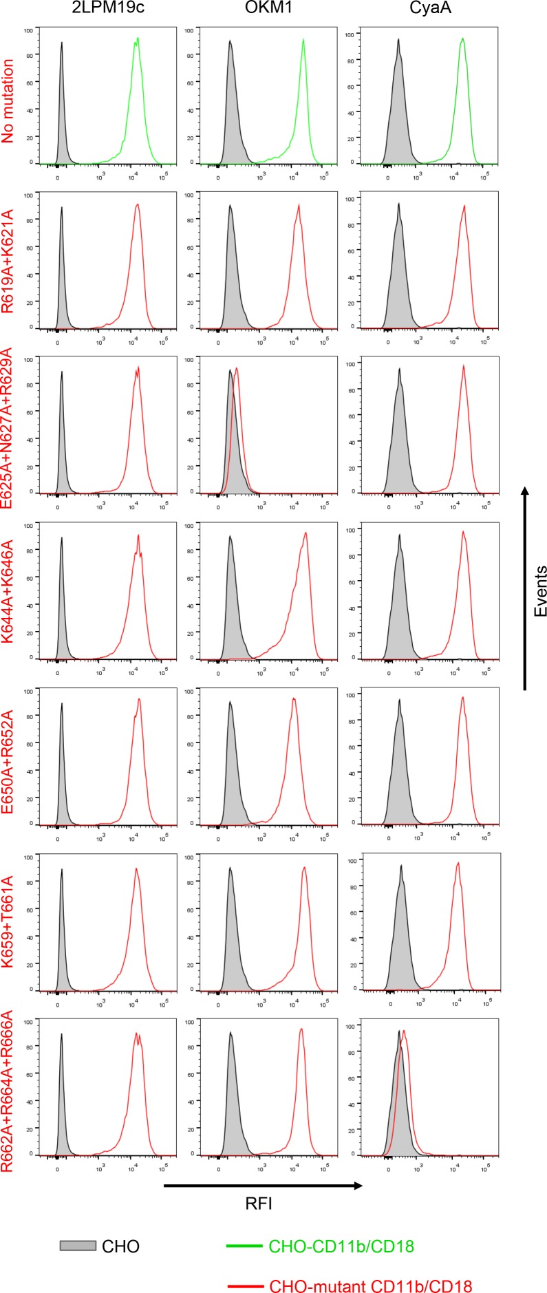 Figure 4—figure supplement 1.