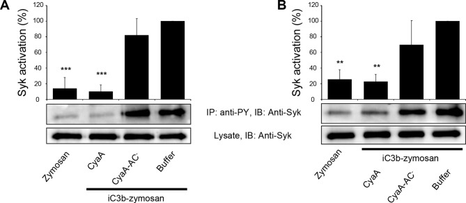 Figure 7—figure supplement 6.