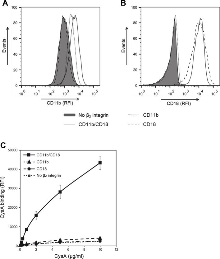 Figure 1—figure supplement 3.