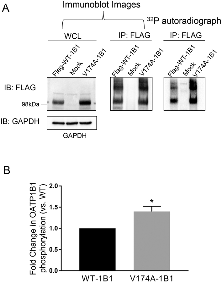 Fig. VI.