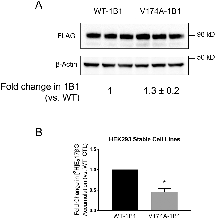 Fig. II.