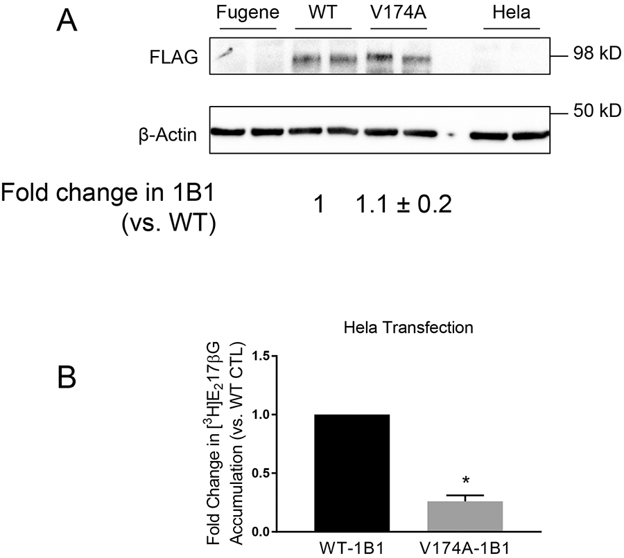 Fig. IV.