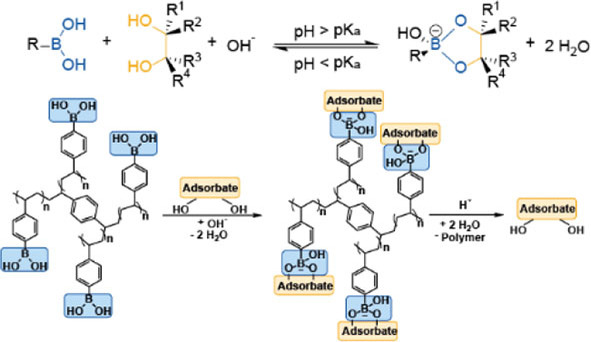 graphic file with name CSSC-14-5207-g003.jpg