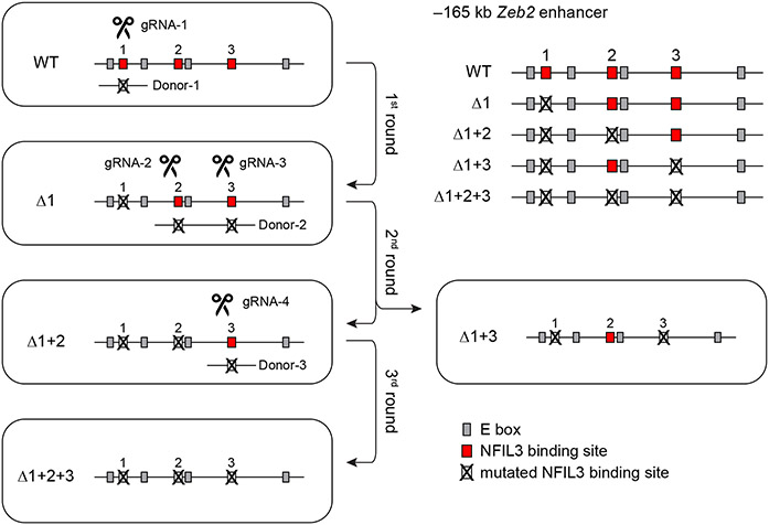 Extended Data Figure 4.