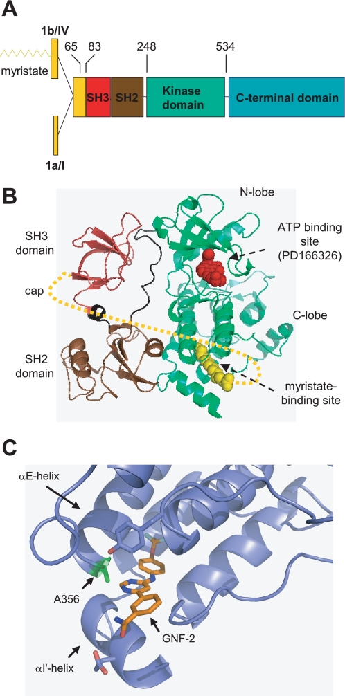 FIGURE 1.