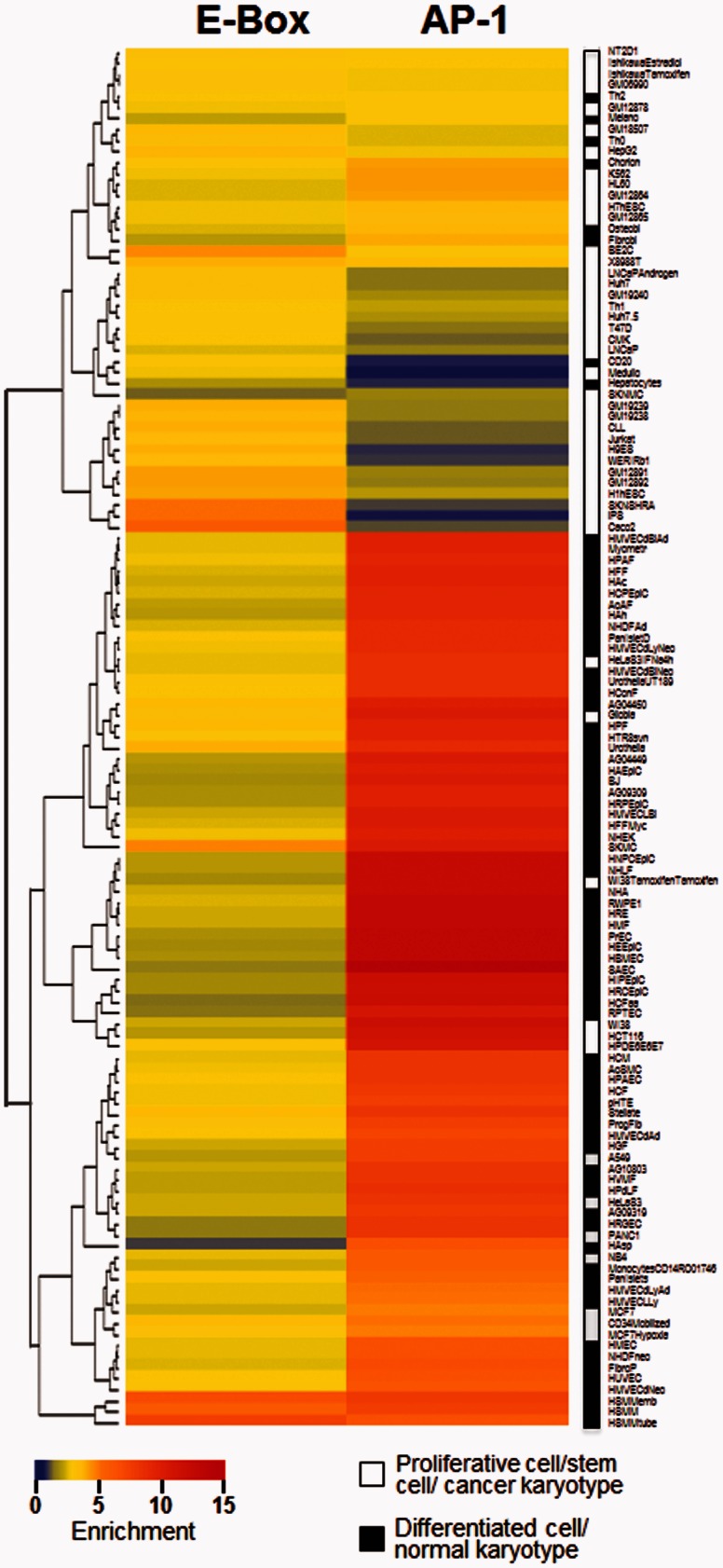 Fig. 6.—