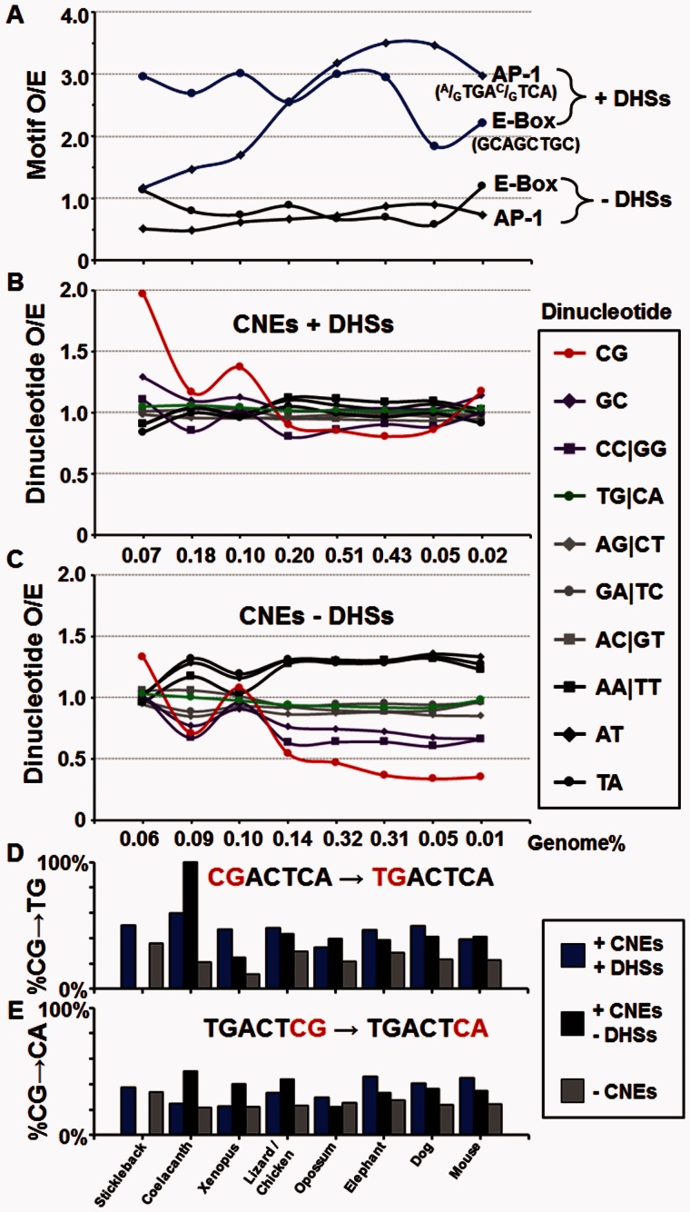 Fig. 7.—