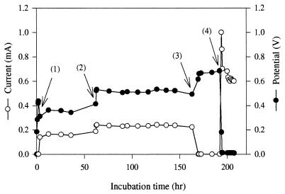 FIG. 6