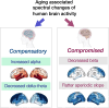 Graphical Abstract