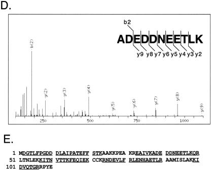 FIG.1.