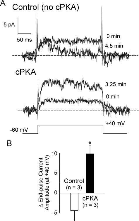 FIGURE 12.