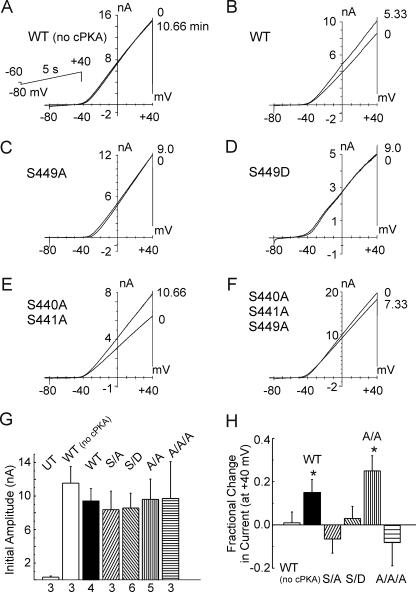 FIGURE 11.