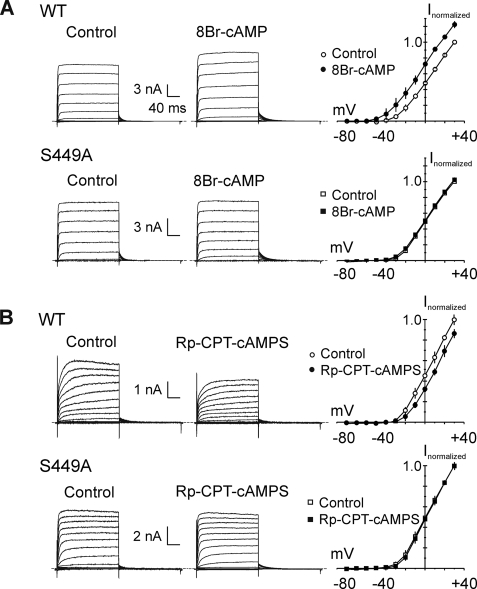 FIGURE 9.