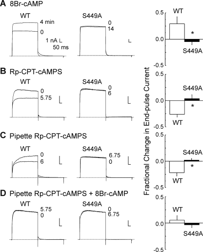 FIGURE 10.