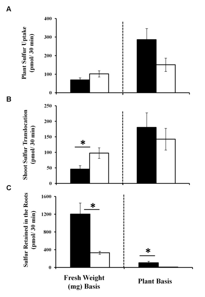 FIGURE 3