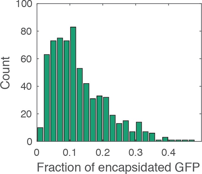Figure 1—figure supplement 1.