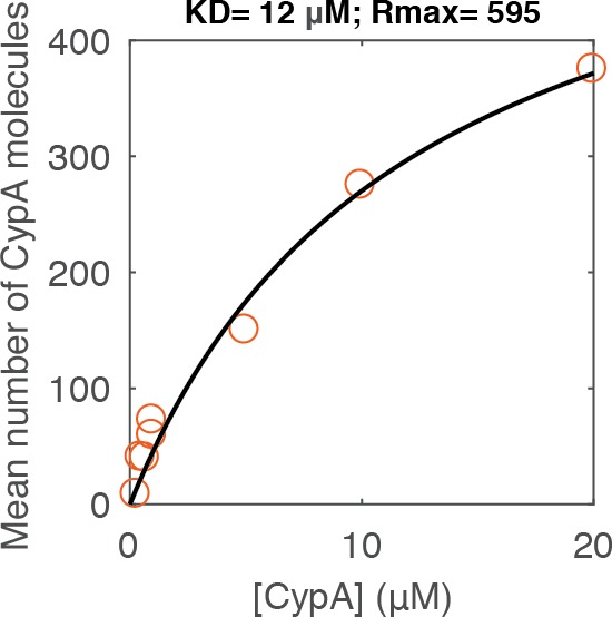 Figure 3—figure supplement 2.