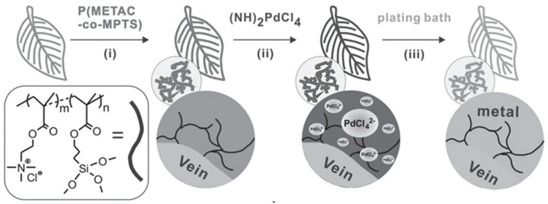 Figure 15