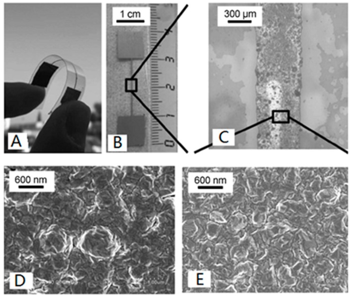 Figure 10